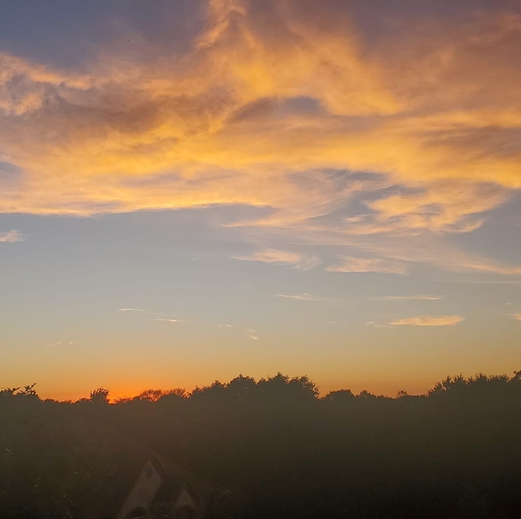 Meet your Posher, Alex - Picture 1 of 1